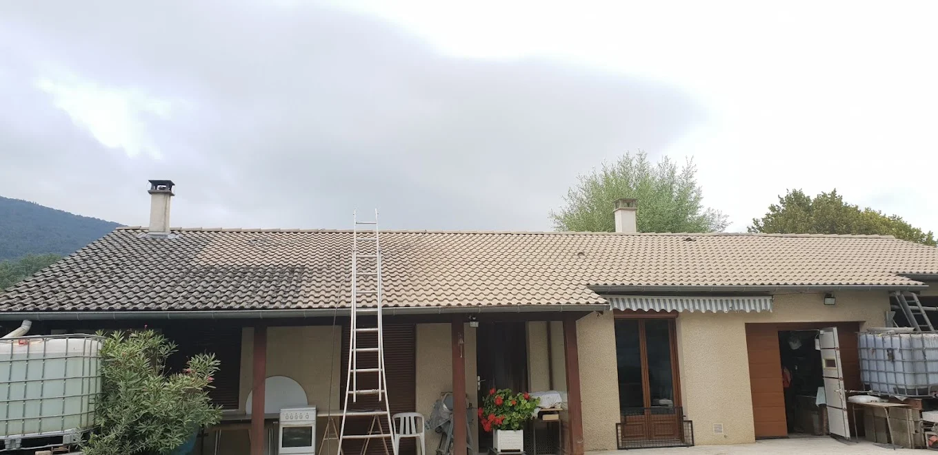 Rénovation toiture écologique